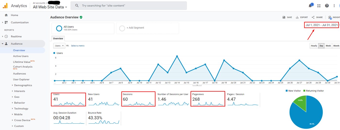 Local SEO client Google Analytics, July 2021: 41 users