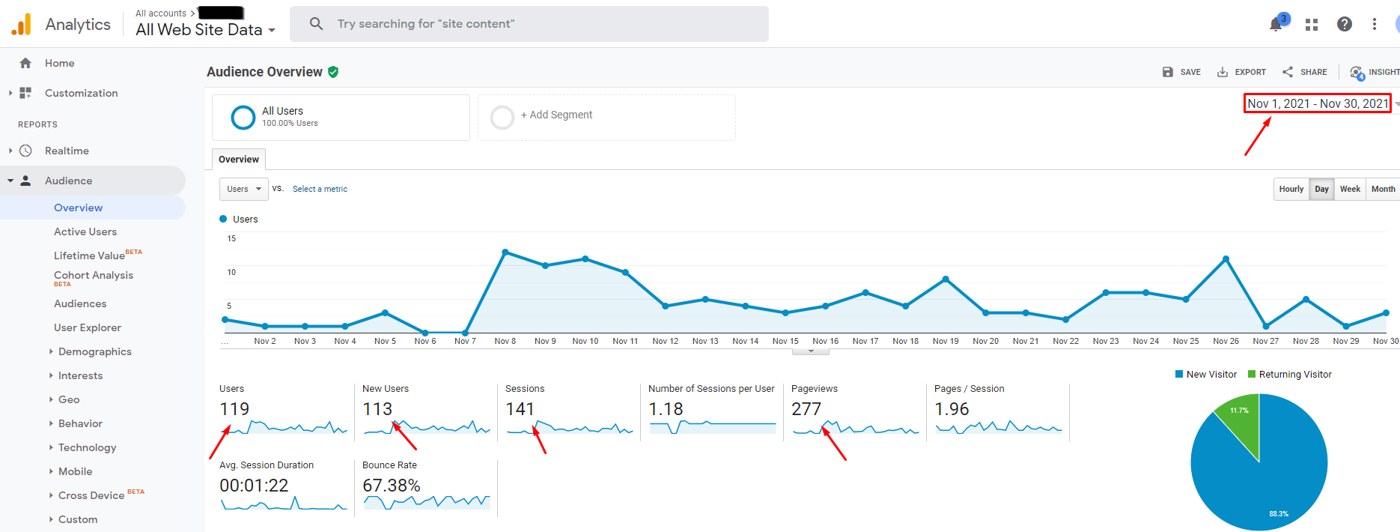 Local SEO client Google Analytics, November 2021: 119 users