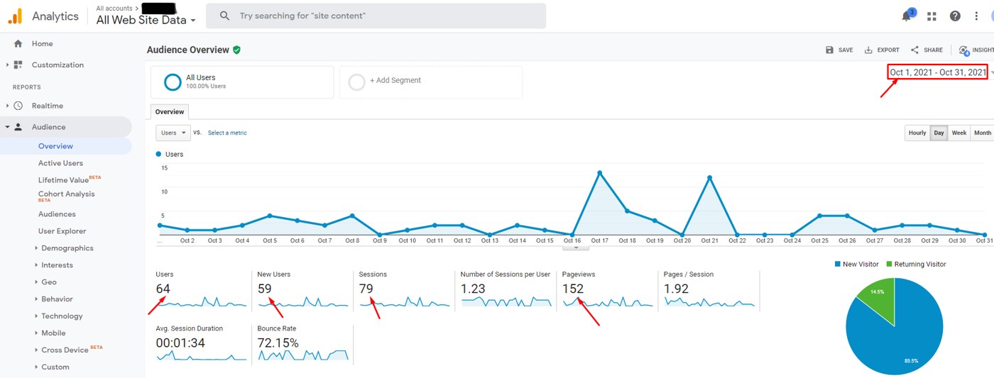 Local SEO client Google Analytics, October 2021: 64 users